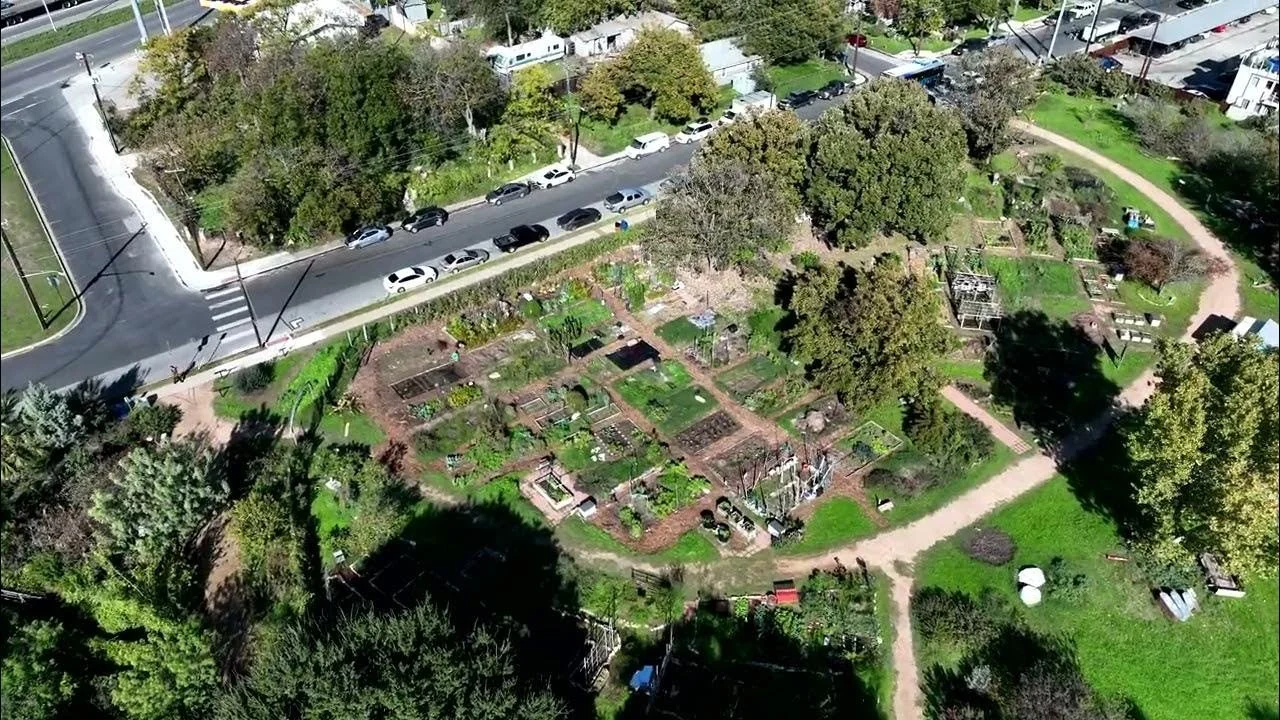 Aerial view of the garden plots and paths at Festival Beach