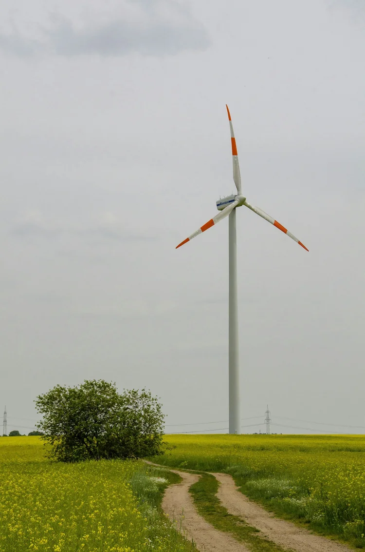Wind turbine, representing local sustainable projects funded by offsets